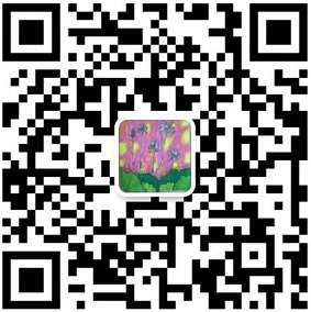 寶雞鈦盤管、TC4鈦管、鈦合金管、TC11鈦管