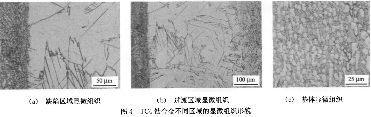 TC4鈦合金不同區域的顯微組織形貌 TC4鈦合金不同區域的顯微組織形貌