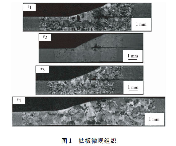 鈦板微觀組織 鈦板微觀組織