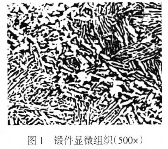 1651893718810061.jpg t1.jpg