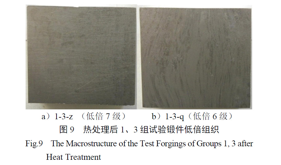 1657926630935683.jpg t9.jpg