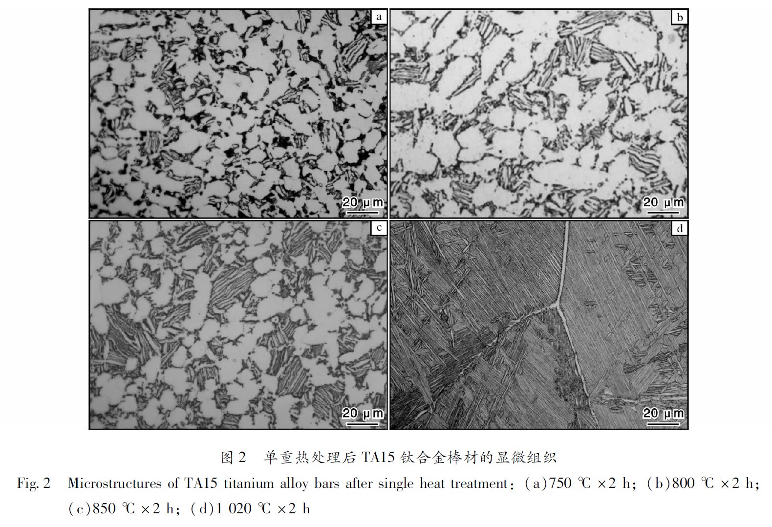 1660484685948099.jpg t2.jpg