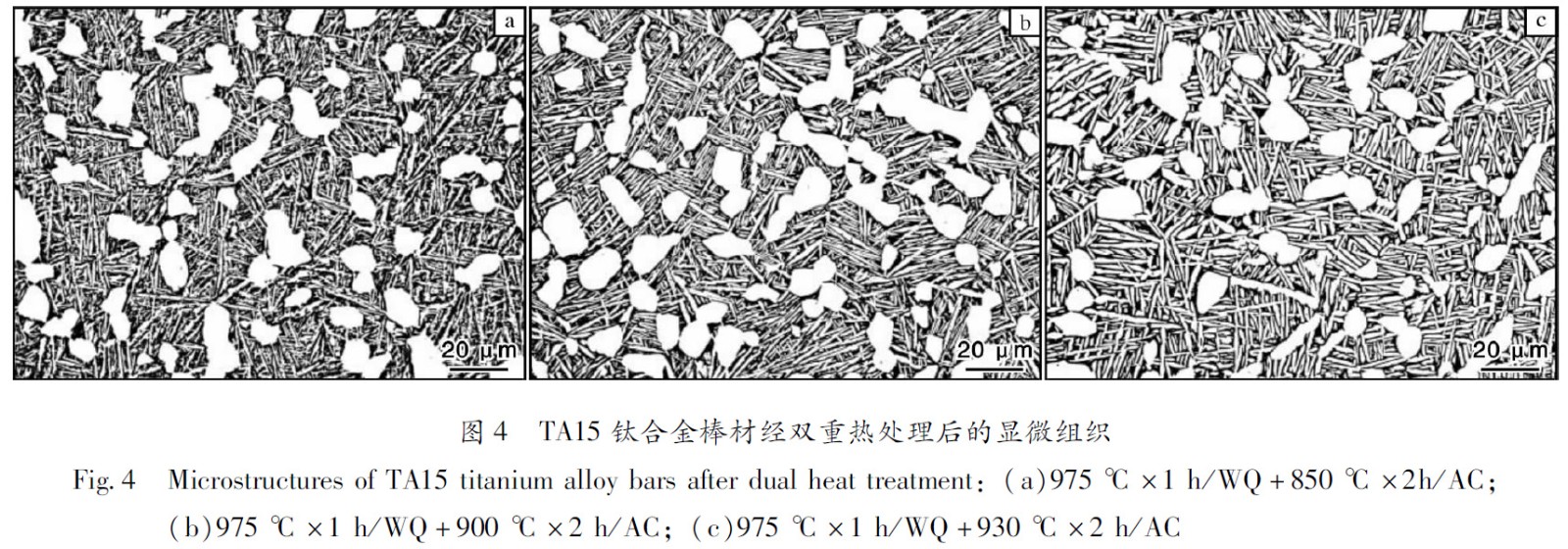 1660484961160038.jpg t4.jpg