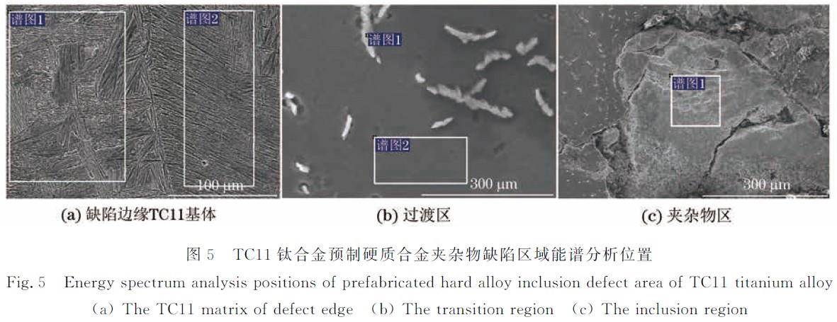 1664615599694085.jpg 5.jpg