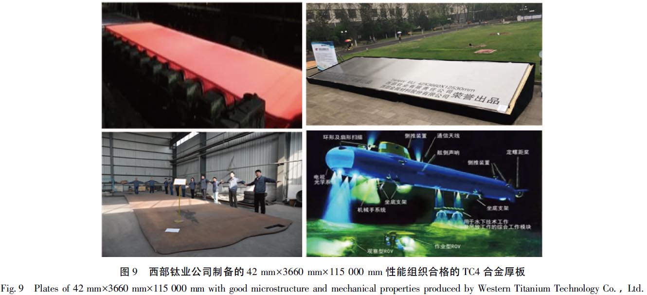 1670403852173663.jpg t9.jpg