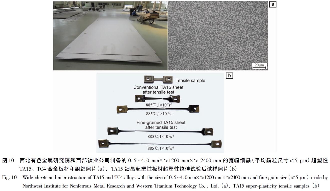 1670403865298403.jpg t10.jpg