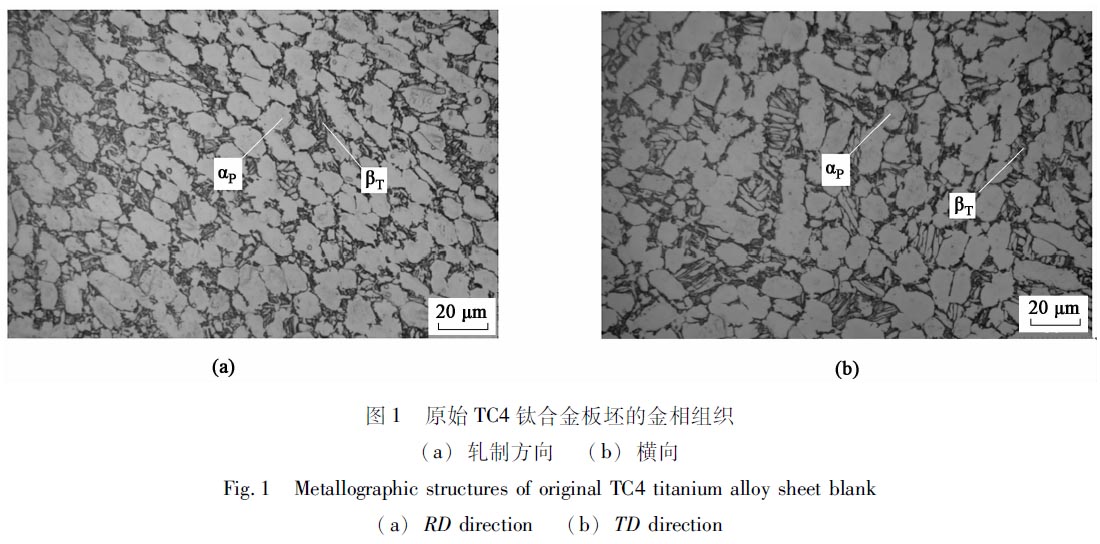 1671077958374017.jpg t1.jpg