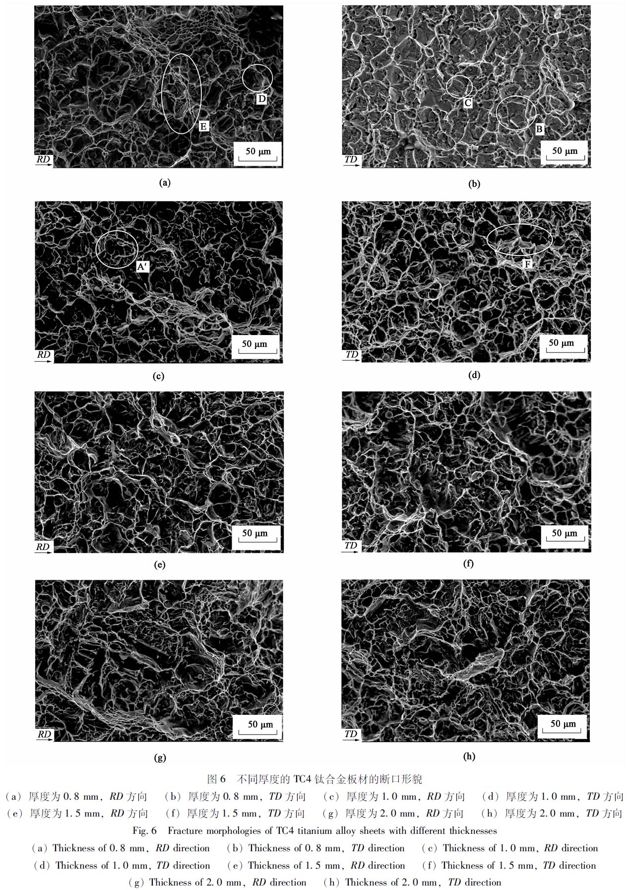 1671078219279132.jpg t6.jpg