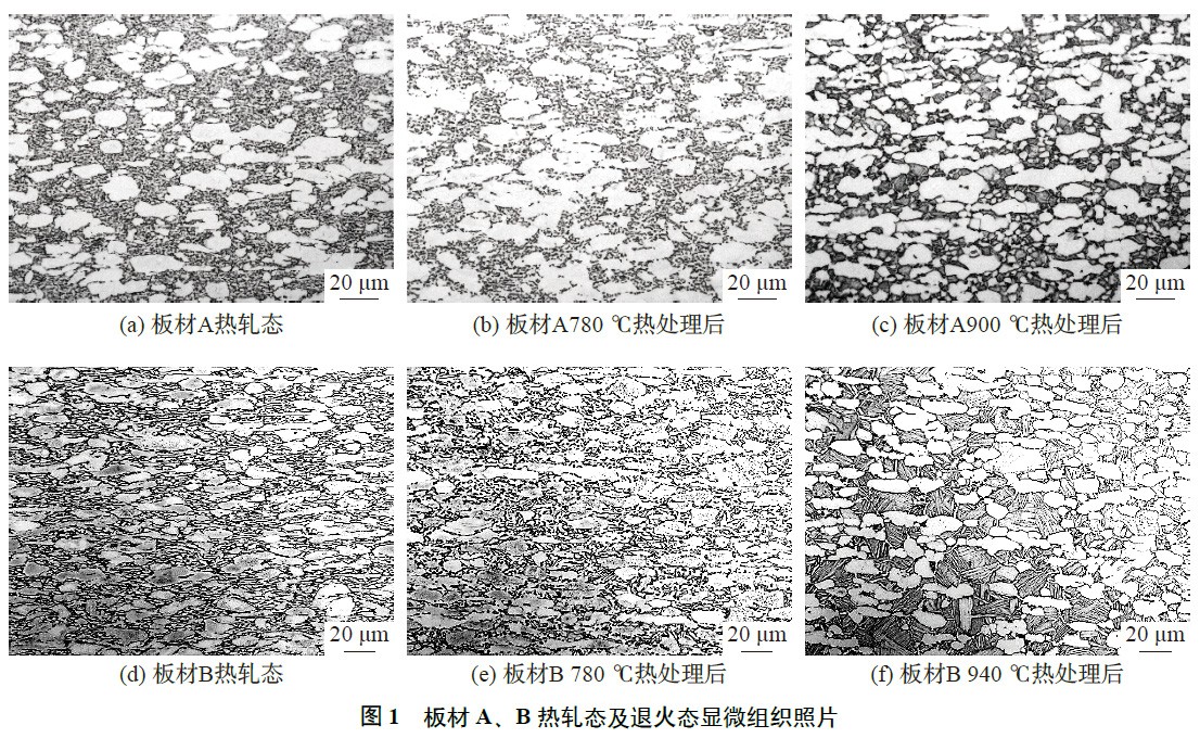 1672725314615780.jpg t1.jpg