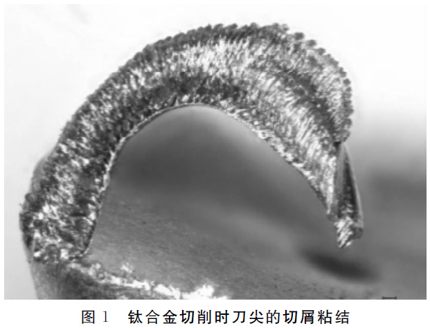 1673339616672978.jpg t1.jpg