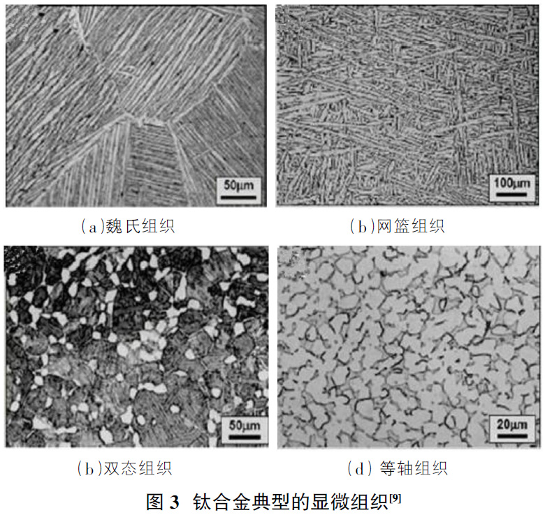 1675259113418790.jpg t3.jpg