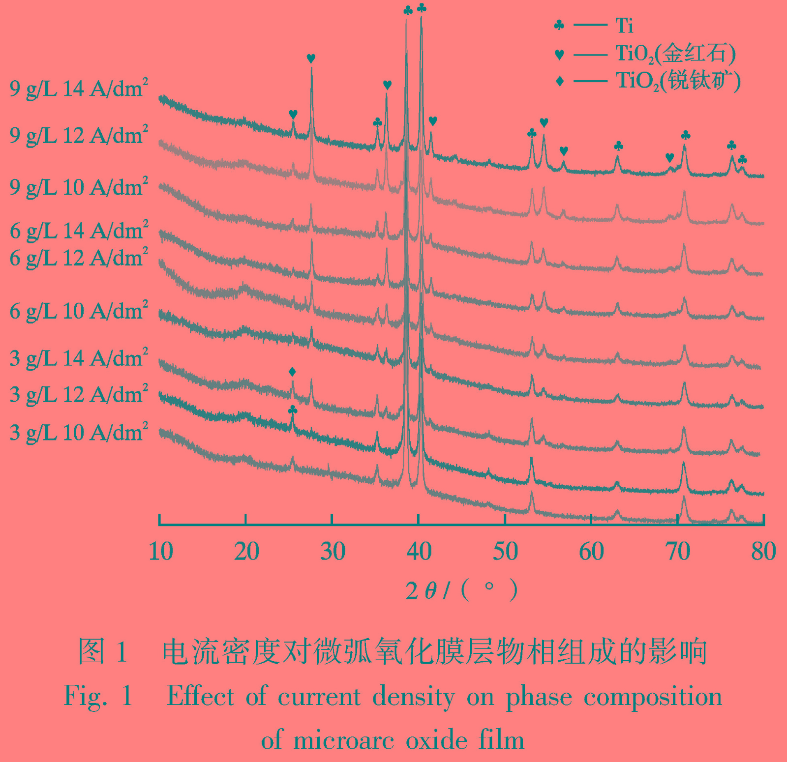 1681130745878592.jpg t1.jpg