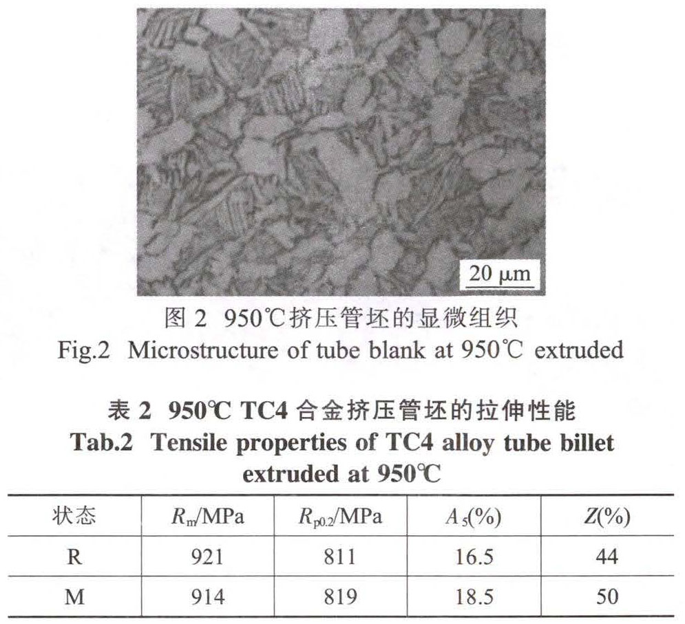 1681621196585145.jpg t2-b2.jpg