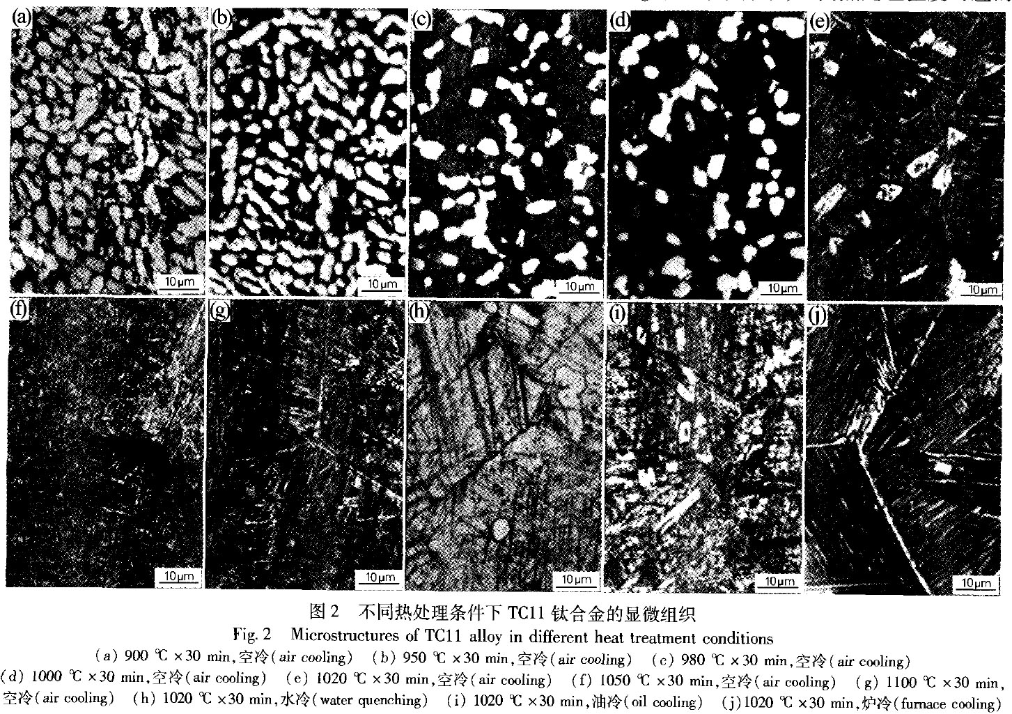 1681912853867440.jpg t2.jpg