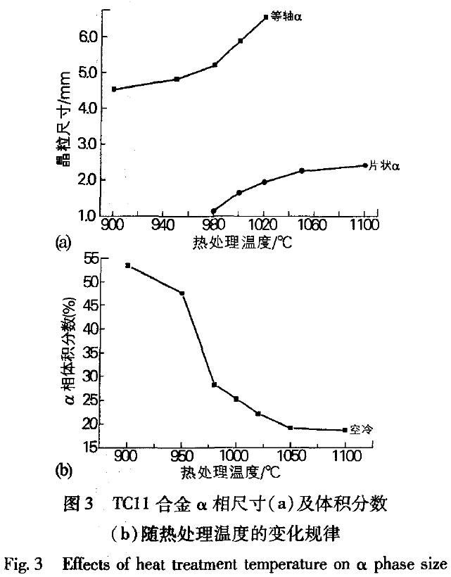 1681912915393771.jpg t3.jpg