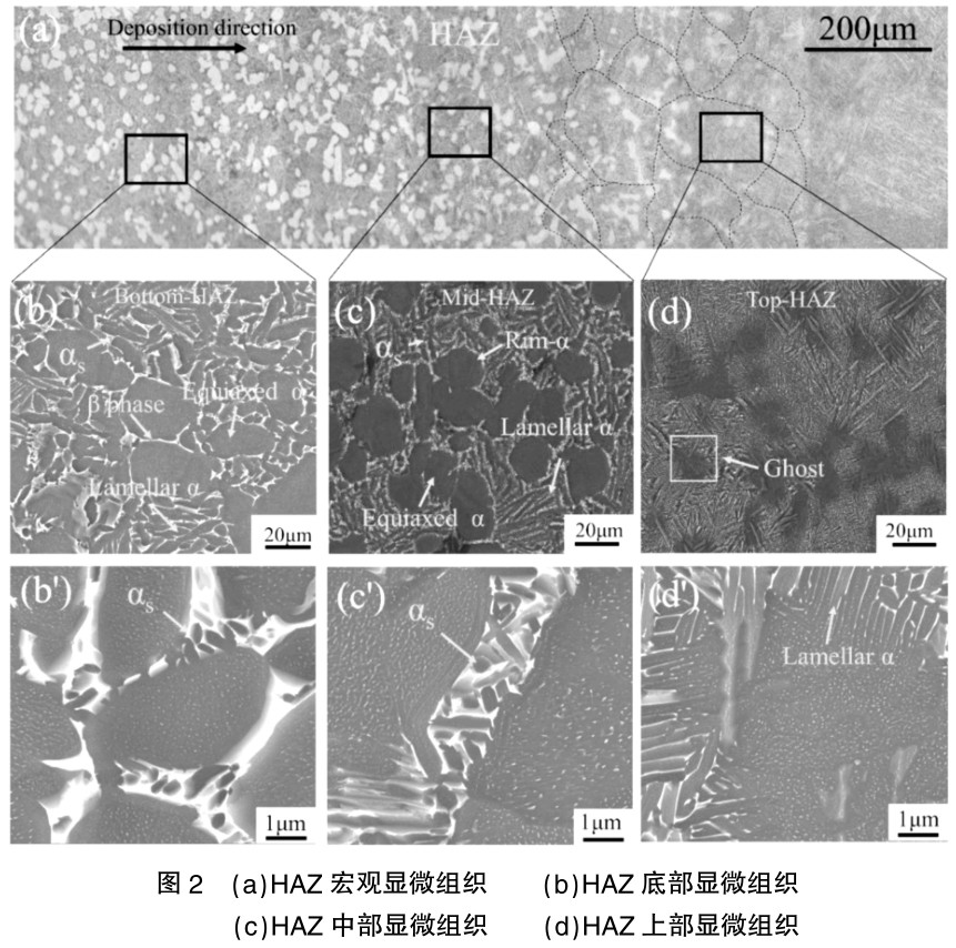 1687609444143041.jpg t2.jpg