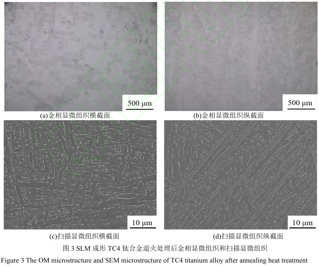 1688372062335751.jpg 未標題-1.jpg