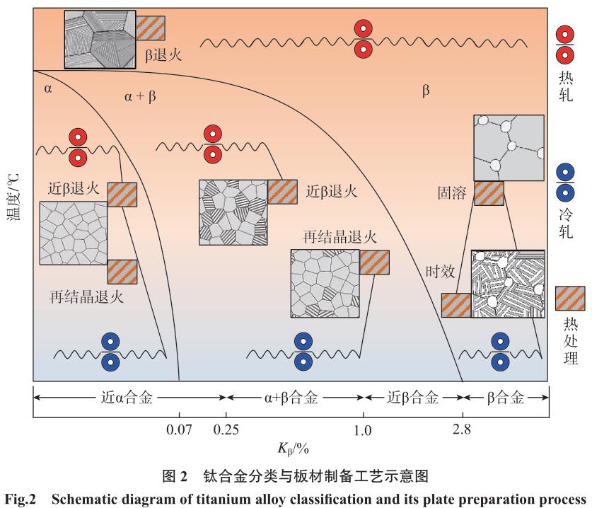 1692067370434982.jpg t2.jpg