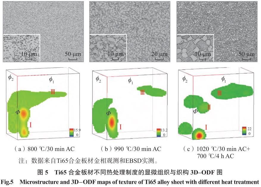 1692067413640679.jpg t5.jpg