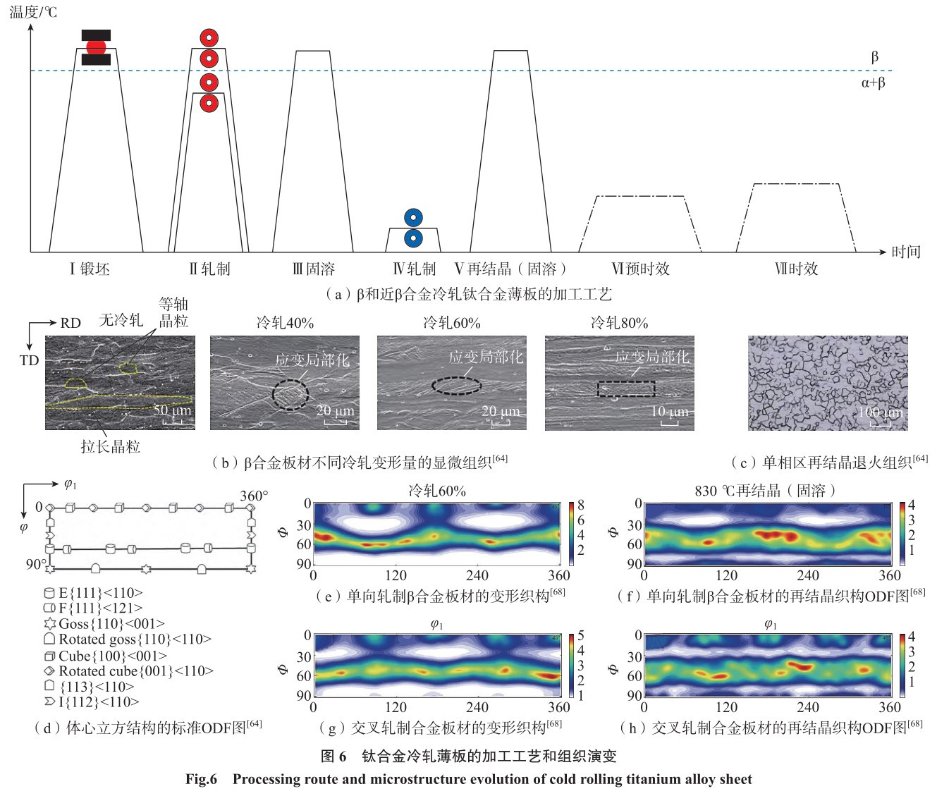 1692068787423661.jpg t6.jpg