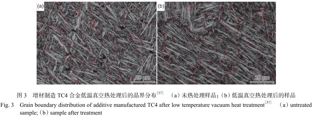 1692864411967492.jpg 3.jpg