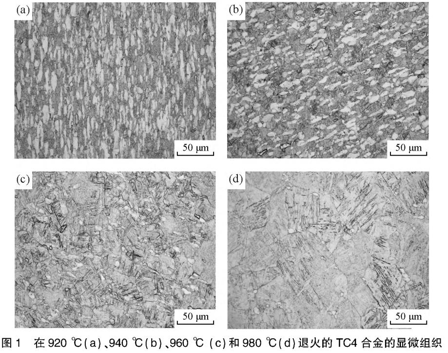 1694384519545859.jpg t1.jpg