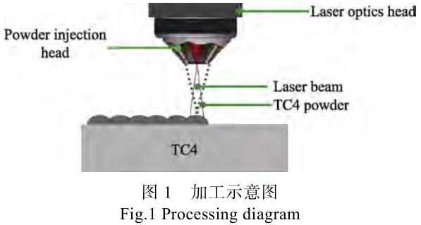 1694485257614374.jpg t1.jpg