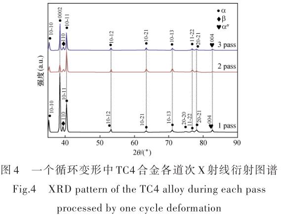 1696505794784512.jpg t4.jpg