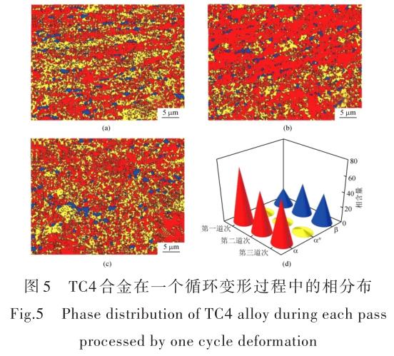 1696505802344857.jpg t5.jpg