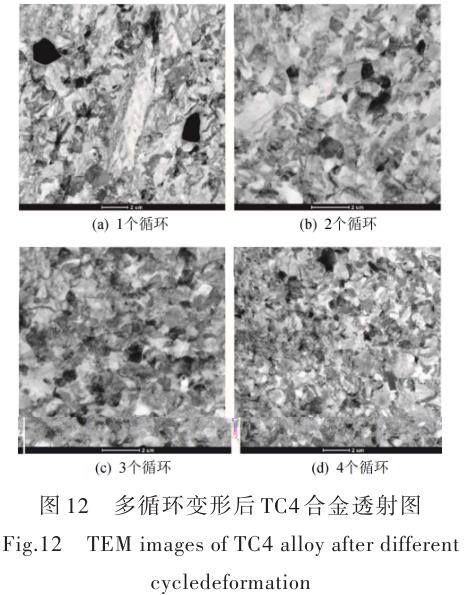 1696505857852496.jpg t12.jpg