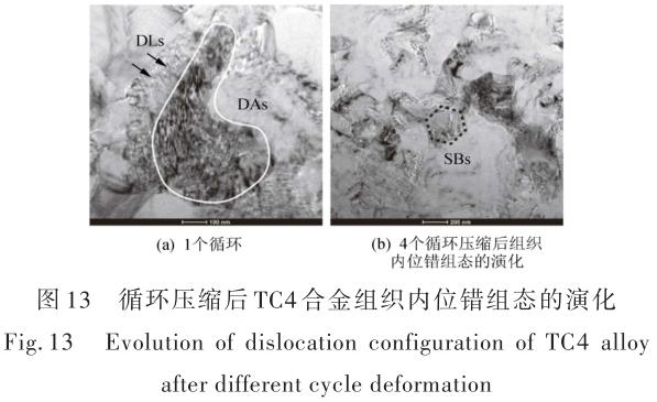 1696505865523679.jpg t13.jpg