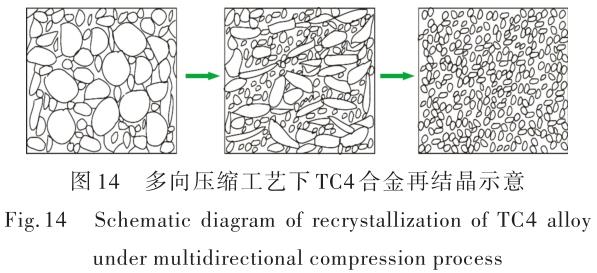 1696505873397403.jpg t14.jpg