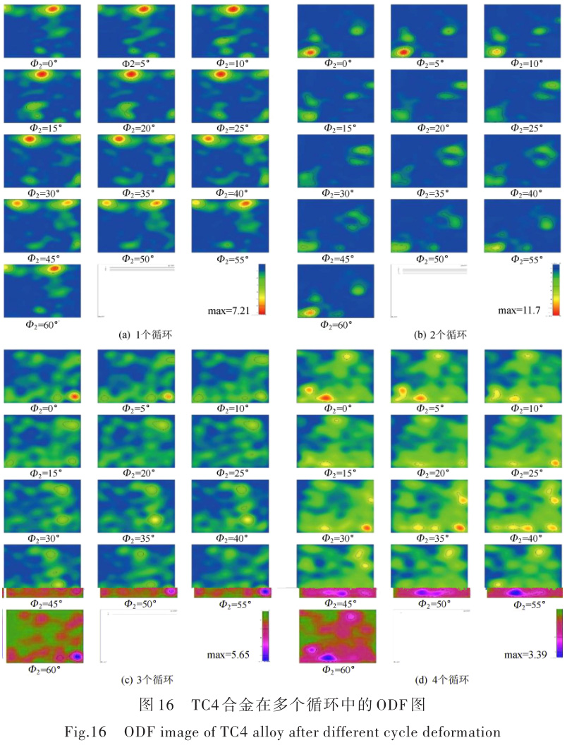 1696505888356332.jpg t16.jpg