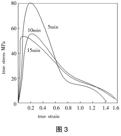 1700480862322003.jpg t3.jpg