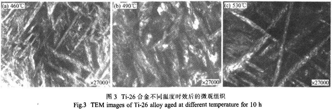 1700535903140131.jpg t3.jpg