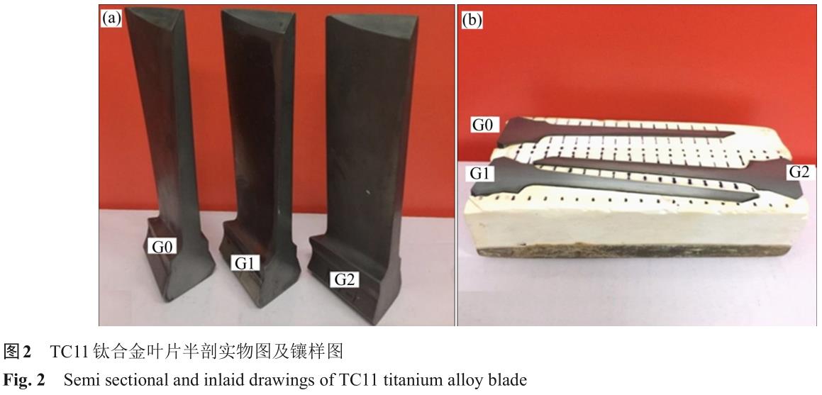 1700550969312512.jpg t2.jpg