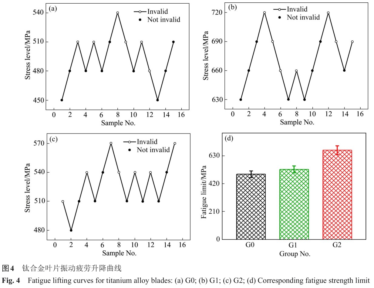 1700551030439997.jpg t4.jpg