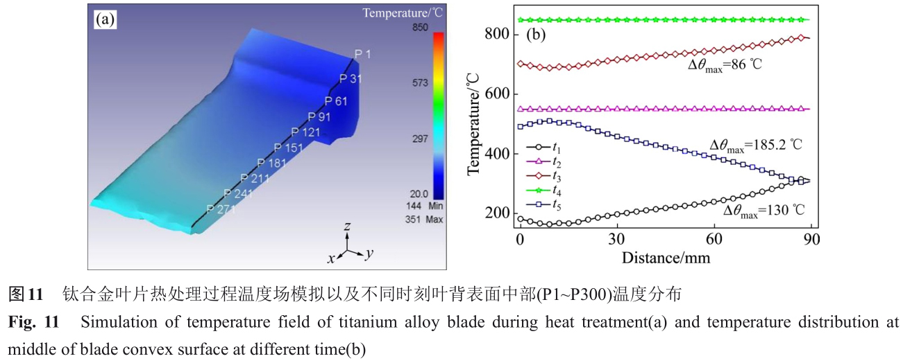 1700551091969272.jpg t11.jpg