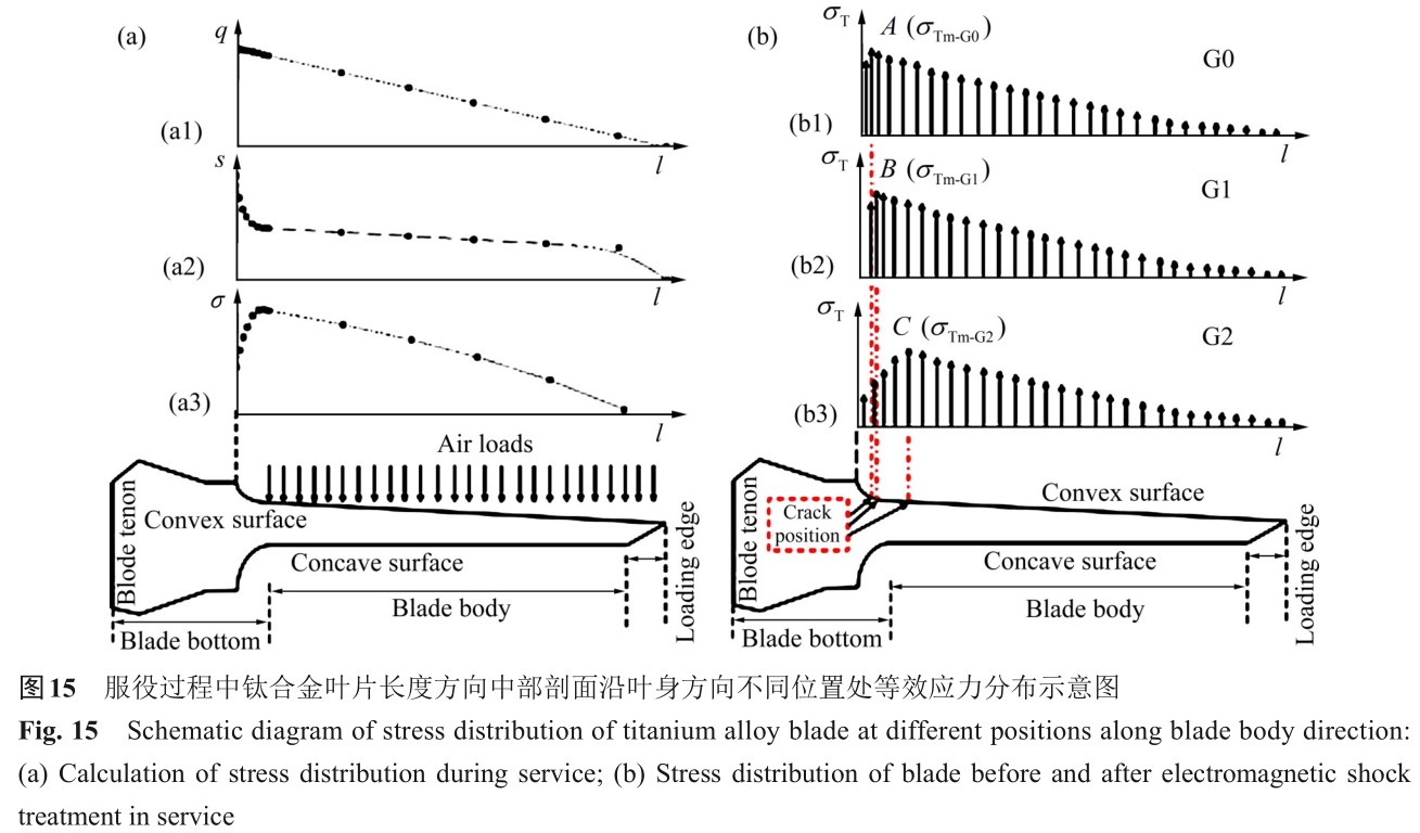 1700551736400535.jpg t15.jpg