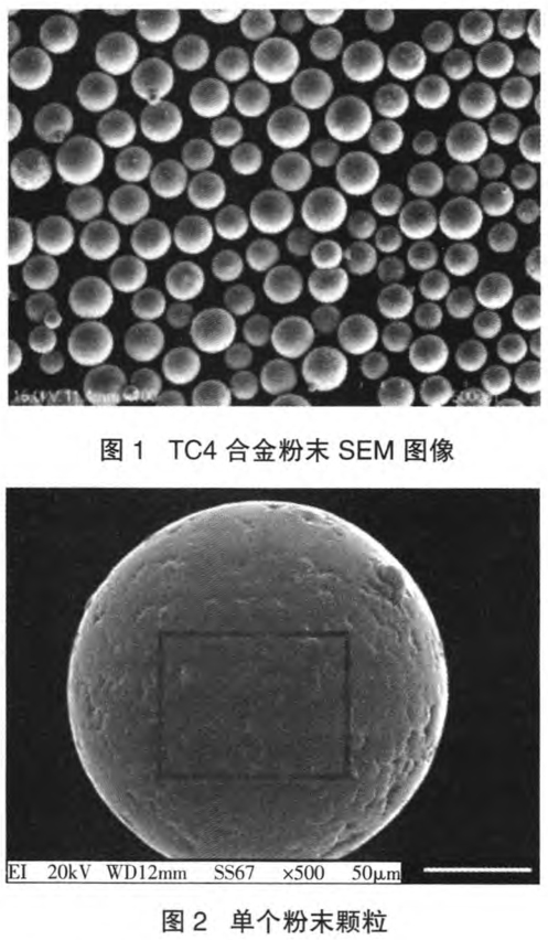 1700569569249897.jpg t1-2.jpg