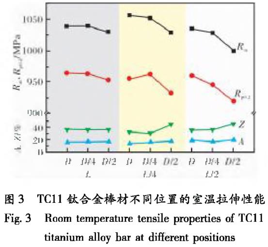1700571194350823.jpg t3.jpg