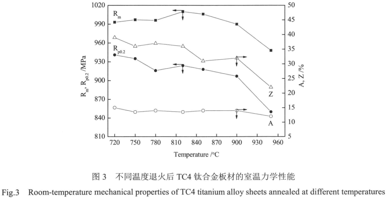 1701940730560855.jpg t3.jpg