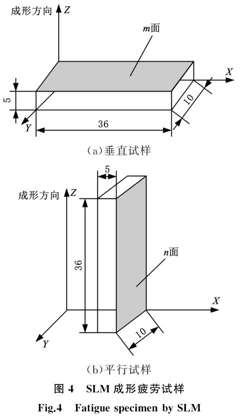 1704874671537086.jpg t4.jpg