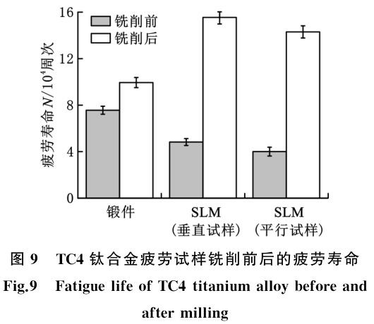 1704874770342423.jpg t9.jpg