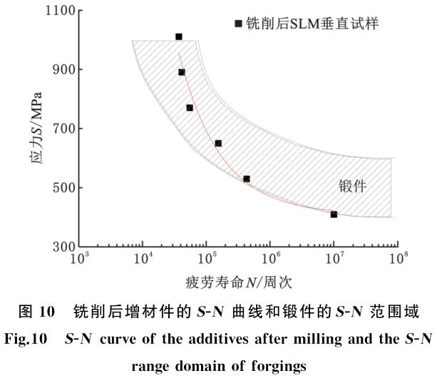 1704874814630703.jpg t10.jpg