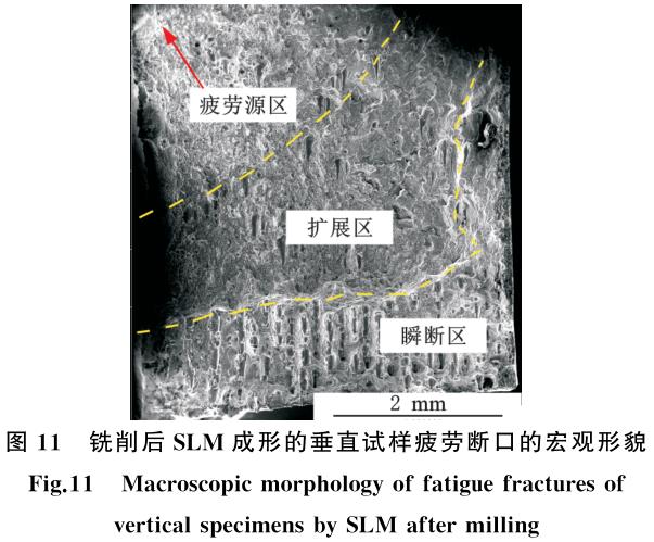 1704874824399554.jpg t11.jpg