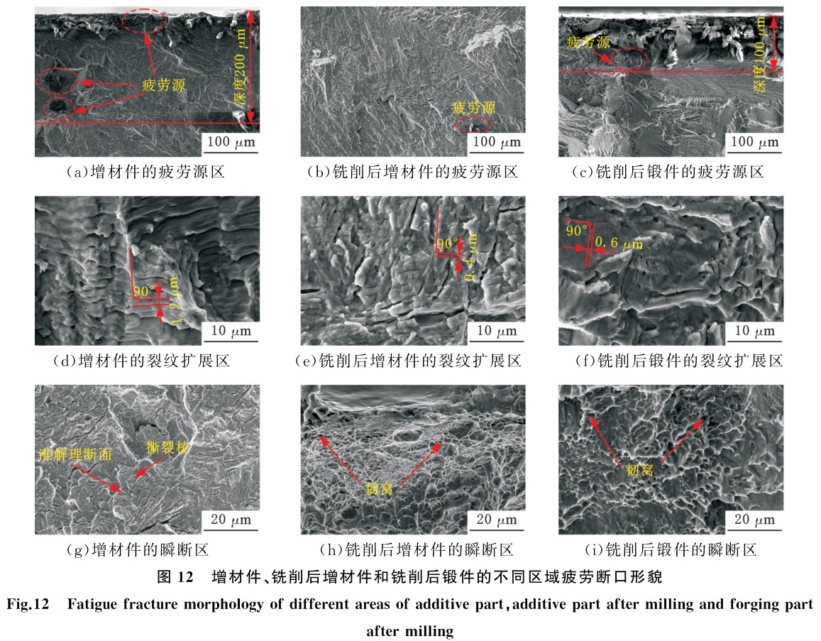 1704874833369444.jpg t12.jpg