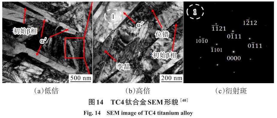 1704879487477417.jpg t14.jpg