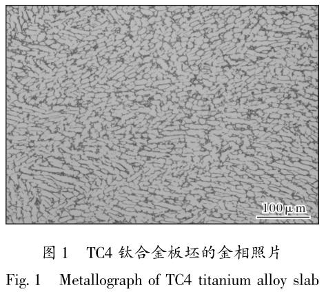 1704925304340383.jpg t1.jpg