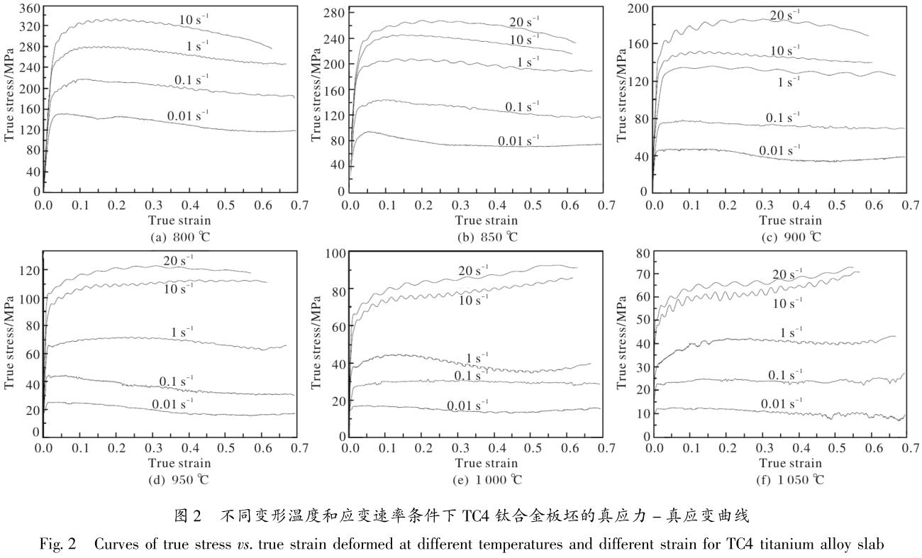 1704925313887157.jpg t2.jpg